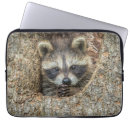 Recherche de raton laveur ordinateurs portables protections Créatures des bois