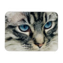 Recherche de aux yeux bleus magnets Birman