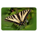 Recherche de papillon vert magnets Feuille