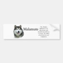 Recherche de l alaska voiture autocollants Malamute