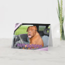 Recherche de funny french anniversaire cartes Dog