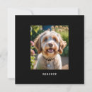 Recherche de chiens toutes vœux cartes Amoureux des animaux