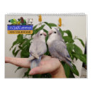 Recherche de perroquet calendriers Aviaire
