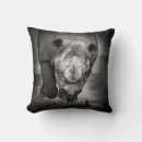 Recherche de rhinocéros coussins Animal