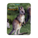 Recherche de kangourou magnets Mignon