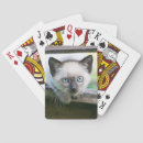 Recherche de chaton jeux de cartes Jeune animal