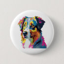 Recherche de chien berger australien badges Amoureux des chiens