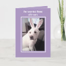 Recherche de humour lapin pâques cartes Humoristique