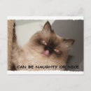 Recherche de humour bureau cartes postales Humoristique