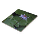Recherche de lilypads carreaux Nénuphar
