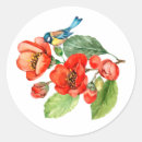 Recherche de rouge jaune bleu autocollants Oiseau