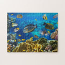 Recherche de poisson rouge puzzles Océan