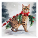 Recherche de chat du bengale posters Pour tous