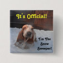 Recherche de basset hound badges Chiens