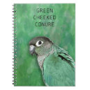 Recherche de conure Vert