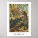 Recherche de cameleon posters Lézard