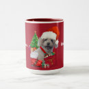 Recherche de arbre rouge tasses Famille