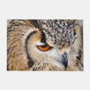 Recherche de hibou paillassons Faune