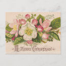 Recherche de pomme cartes postales Vintage