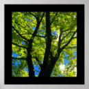 Recherche de 24x24 posters Nature
