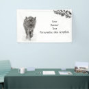 Recherche de loup noir Sauvage