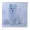Recherche de arctique carreaux Nature