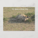 Recherche de africains cartes postales Kenya