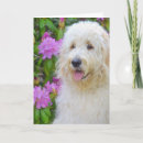 Recherche de impressionism vœux cartes Toute personne