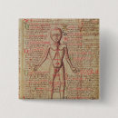 Recherche de anatomie badges Humain