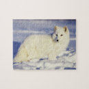 Recherche de renard arctique Fourrure