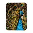 Recherche de oiseau exotique magnets Coloré