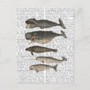 Recherche de baleine vintage posters Animaux