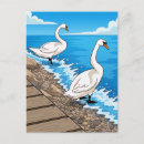 Recherche de cygnes cartes postales Pour tous