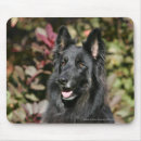 Recherche de alsacien tapis souris Schaferhund de deutscher