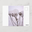 Recherche de mélancolie cartes postales Hiver
