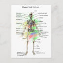 Recherche de anatomique cartes postales Science