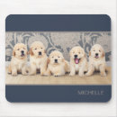 Recherche de chiot tapis souris Animal