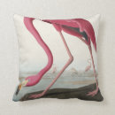 Recherche de james coussins John james audubon