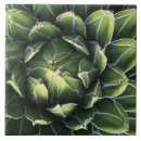 Recherche de tucson carreaux Sud ouest