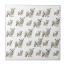 Recherche de ours blancs carreaux Pour tous