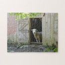 Recherche de agneau puzzles Rural