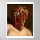 Recherche de épaule posters Médical
