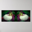 Recherche de pinces posters Mère