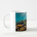 Recherche de tortue verte tasses Récif