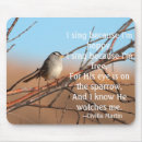 Recherche de oiseaux chanteurs tapis souris Faune