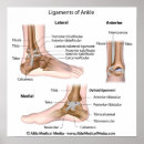 Recherche de foot posters Medical