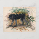 Recherche de espèces cartes postales Nature