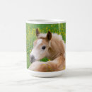 Recherche de poulains mignons tasses Cheval