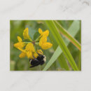 Recherche de bourdon cartes visite Abeille