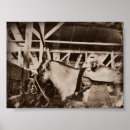 Recherche de quart photographie Quart de cheval